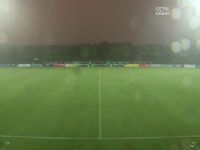 �������� ��������������VS̩������ 20240824