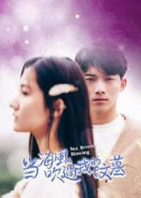 �����紵���ҵķ�Ĺ