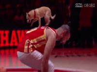 NBA������ ��������VS��ӥ 20241105