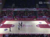 WCBA��������15�� ��������vs����� 20231125