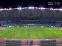 �г����� ������ʨVS��֧ͨ�� 20241020