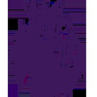 Ӣ�� ������vs������20251207