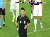 ��Э�������ֱ��� ����Ӣ������VS�������� 20250621